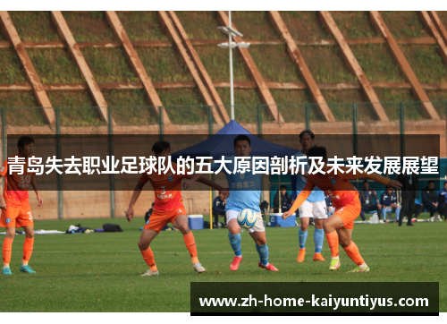 青岛失去职业足球队的五大原因剖析及未来发展展望